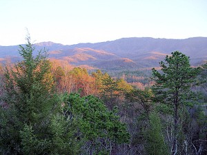 Smokey Mountains, TN